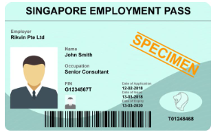シンガポールEmployment Passカードの見本